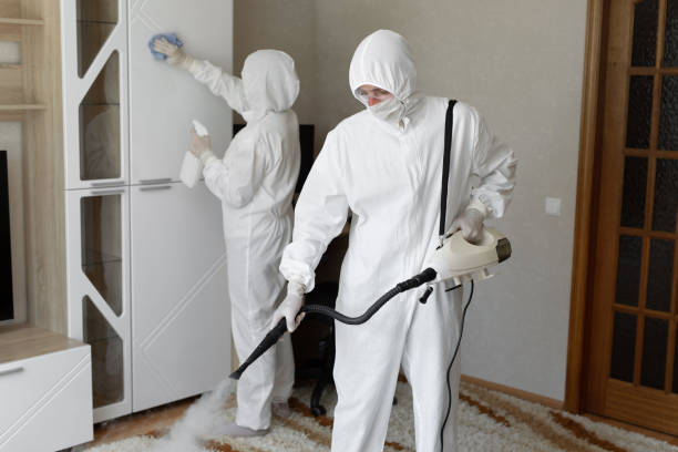 Trusted Sewage Cleanup service in Pullman, MI - Four Month Blood Cleanse